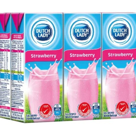 DUTCH LADY RTD Flavoured Milk Carton