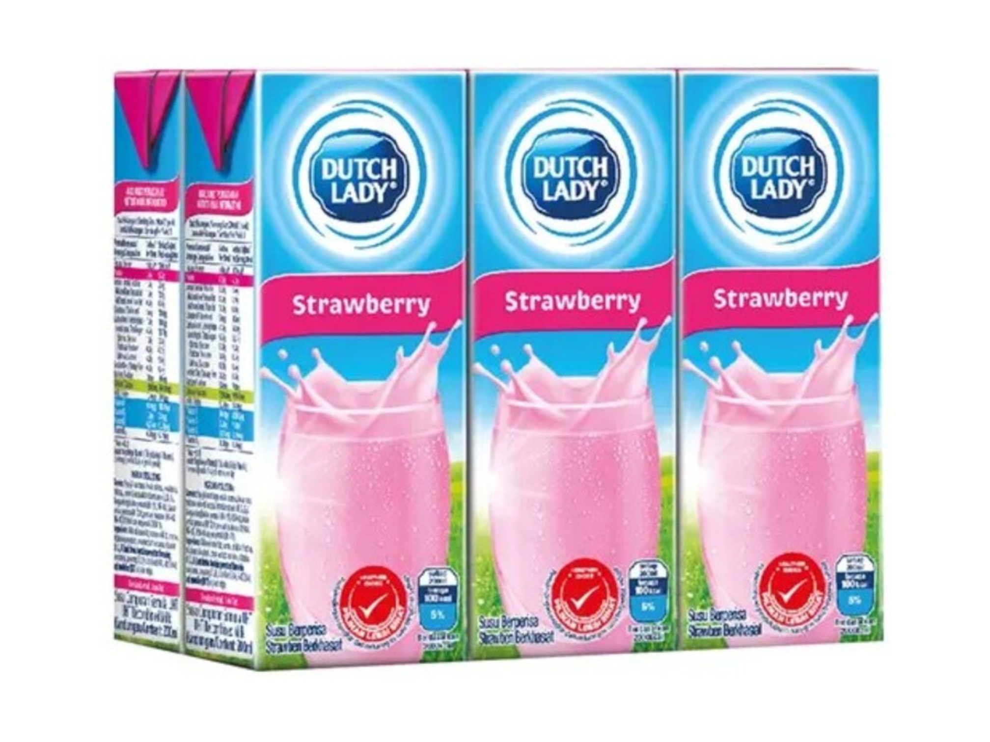 DUTCH LADY RTD Flavoured Milk Carton