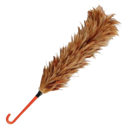 Feather DUSTER