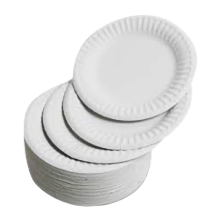 Paper Plate Pack